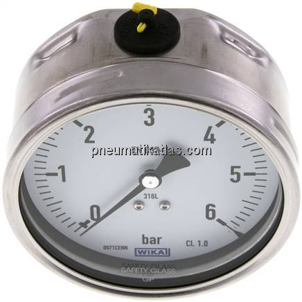 Chemie-Manometer waagerecht, 100mm, 0 - 6 bar
