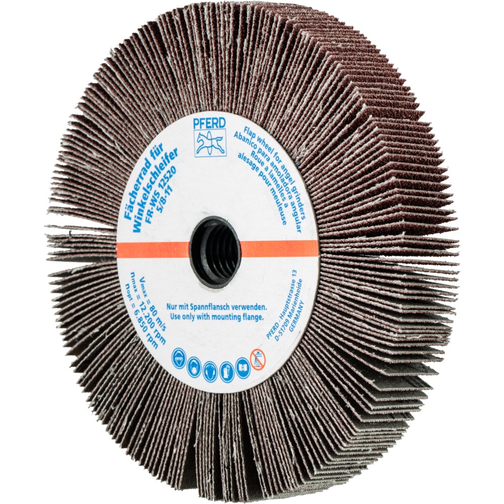 Fächerschleifwerkzeuge FR WS 12520 5/8-11 A 60