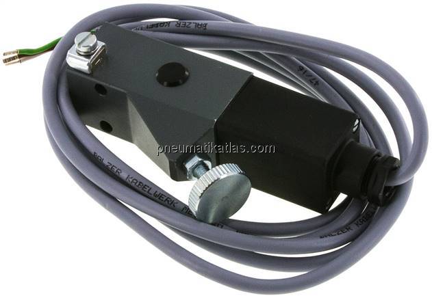 ATEX-Druckschalter 5 - 50 bar (Wechsler), G 1/4" (IG)