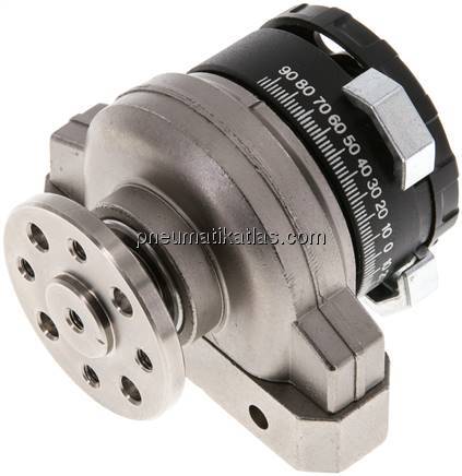 DSRL-10-180-P-FW (33296) Schwenkantrieb