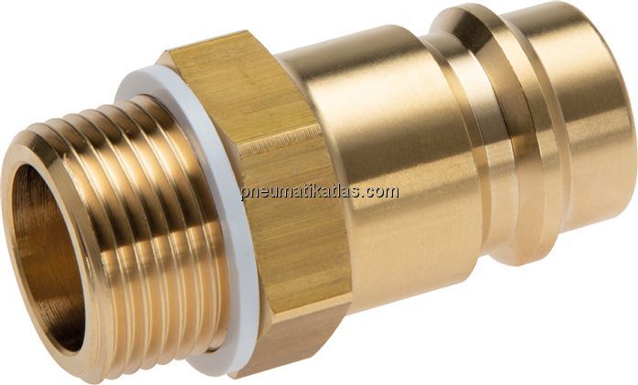 Exemplarische Darstellung: Kupplungsstecker mit Au