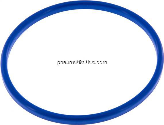 Dichtung (Milchgewinde) DN 100, NBR (blau), 104x114x6mm