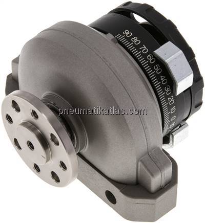 DSRL-16-180-P-FW (30655) Schwenkantrieb