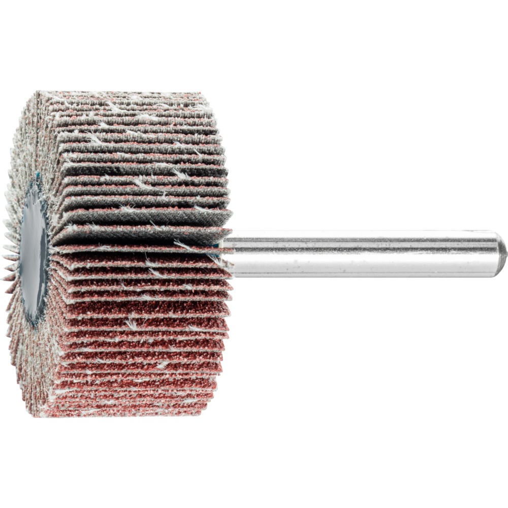 Fächerschleifwerkzeuge F 4020/6 A 80