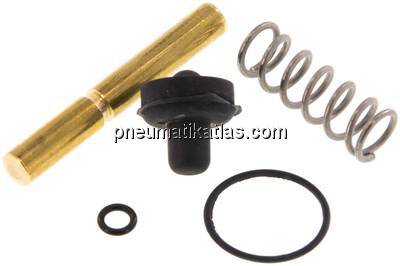 Reparatursatz für Ausblaspistolen, Standard,