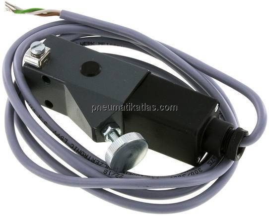 ATEX-Druckschalter 100 - 400 bar (Wechsler), G 1/4" (IG)