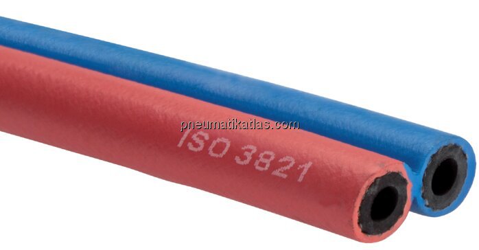 Exemplarische Darstellung: Autogen-Zwillingsschlau