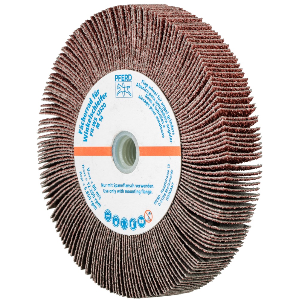 Fächerschleifwerkzeuge FR WS 12520 M14 A 40