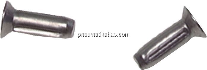 Exemplarische Darstellung: Kerbnägel zur Befestigu