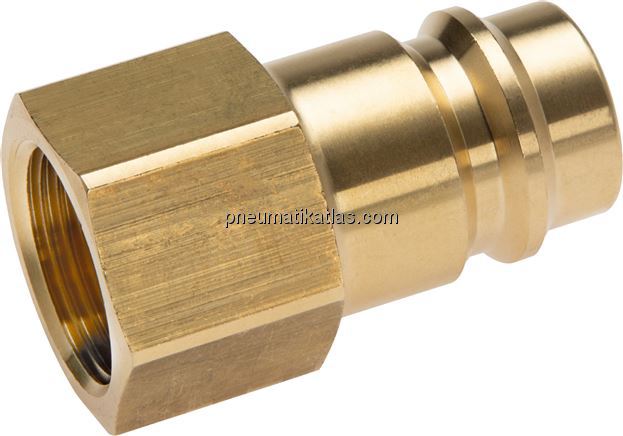 Exemplarische Darstellung: Kupplungsstecker mit In