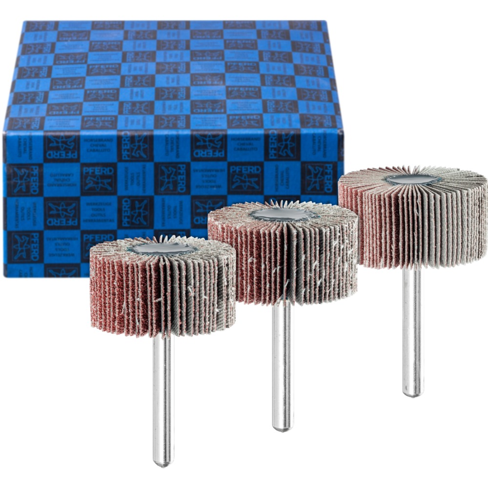 Fächerschleifwerkzeuge SET F 4020/6 A