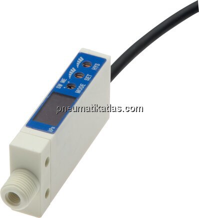 Exemplarische Darstellung: Elektronischer Drucksch