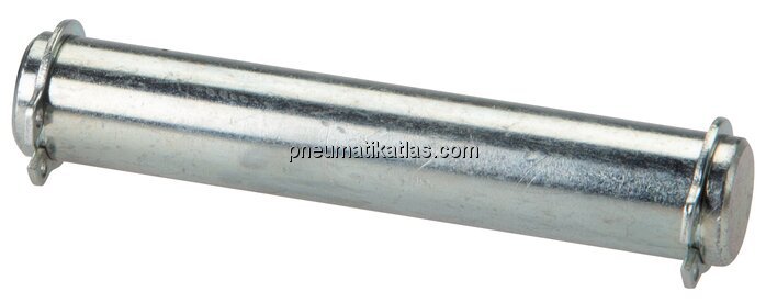 Exemplarische Darstellung: Bolzen für Schwenkbefes