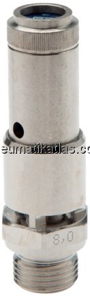 Exemplarische Darstellung: Sicherheitsventil (Mess