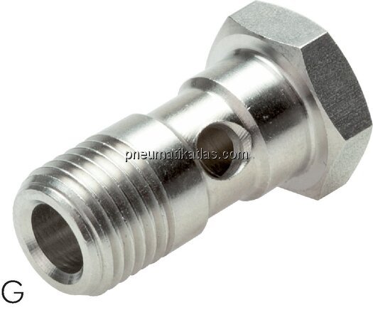 Exemplarische Darstellung: Hohlschraube für IQS-Ri