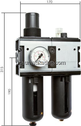 Exemplarische Darstellung: Wartungseinheit 2-teili