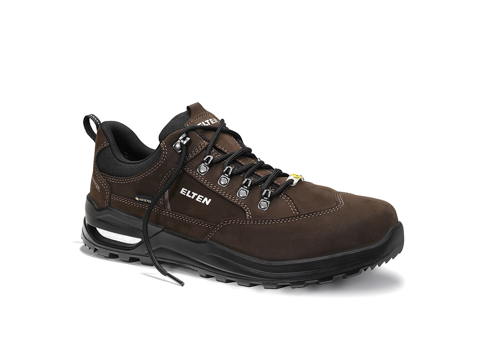 Berufshalbschuh RONAN XXF GTX brown Low ESD O2 WR CI