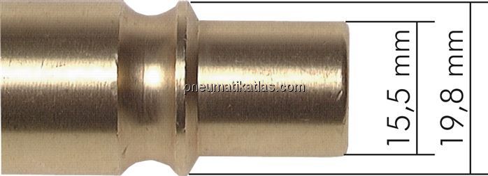 Detailansicht: Steckerabmessungen