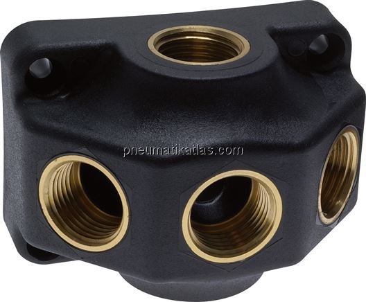 Exemplarische Darstellung: Wanddose mit 3 Abgängen