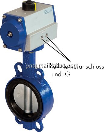 Exemplarische Darstellung: Zwischenflanschklappe m