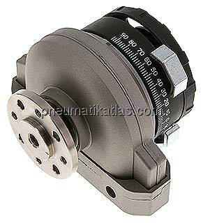 DSRL-32-180-P-FW (30657) Schwenkantrieb