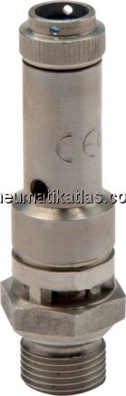 Exemplarische Darstellung: Sicherheitsventil (Edel