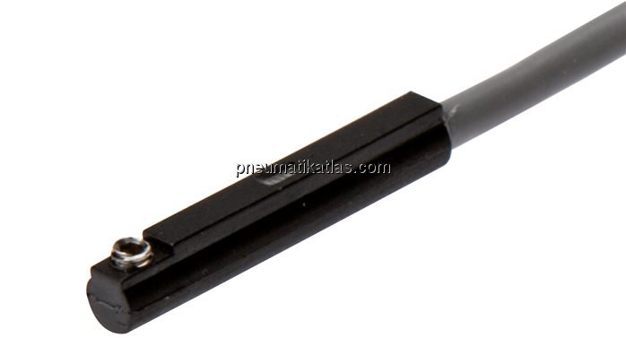 Exemplarische Darstellung: Reed Sensor