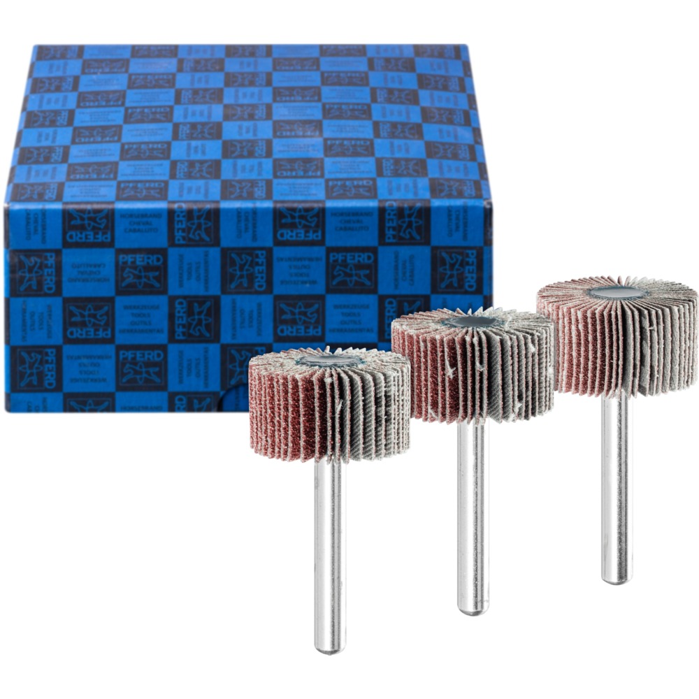 Fächerschleifwerkzeuge SET F 3015/6 A