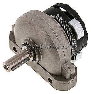 DSR-25-180-P (11911) Schwenkantrieb