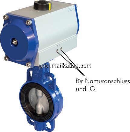 Exemplarische Darstellung: Zwischenflanschklappe m