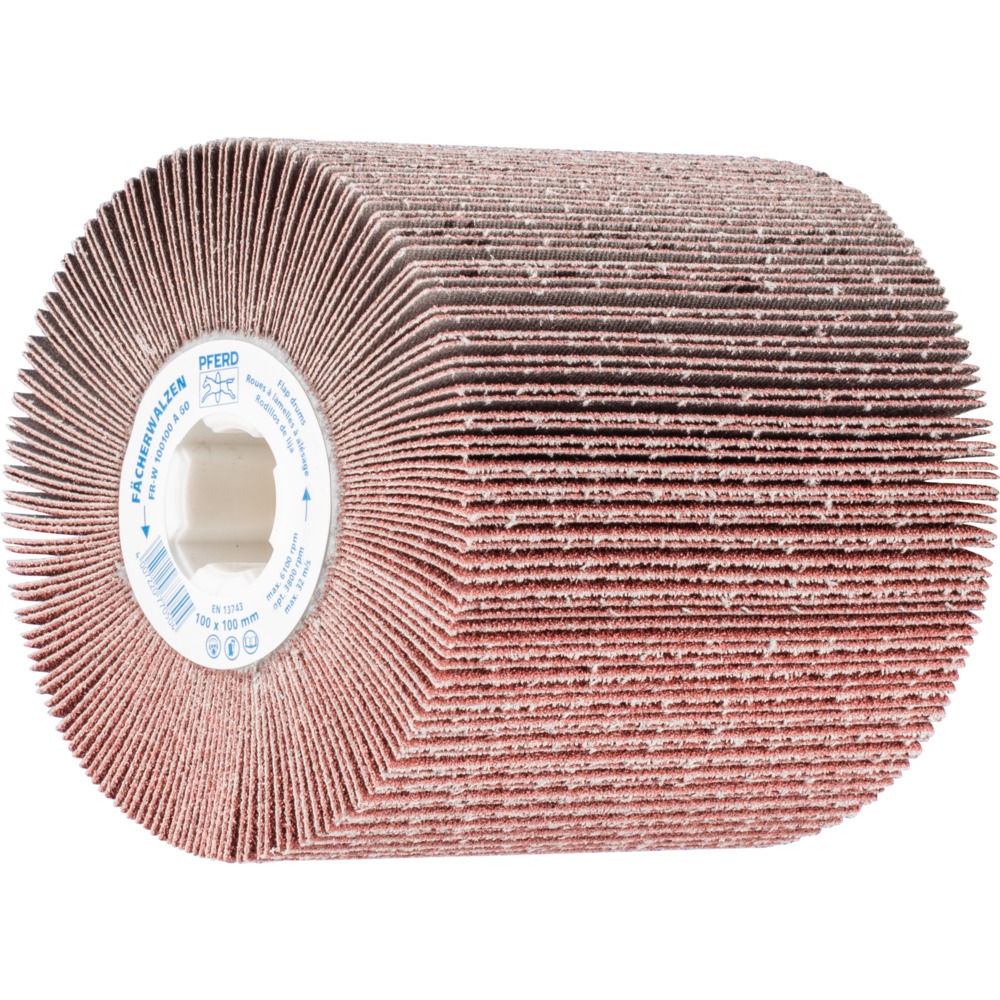 Fächerschleifwerkzeuge FR-W 100100 A 60