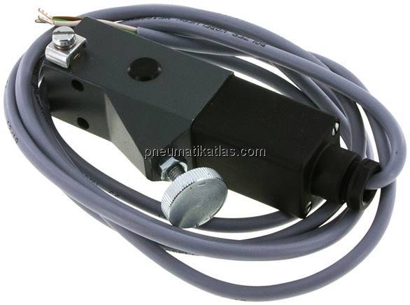 ATEX-Druckschalter 20 - 100 bar (Wechsler), G 1/4" (IG)