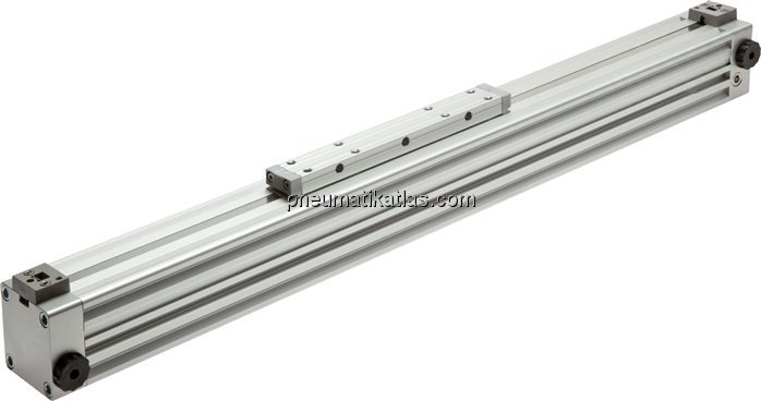 Exemplarische Darstellung: Kolbenstangenloser Stan